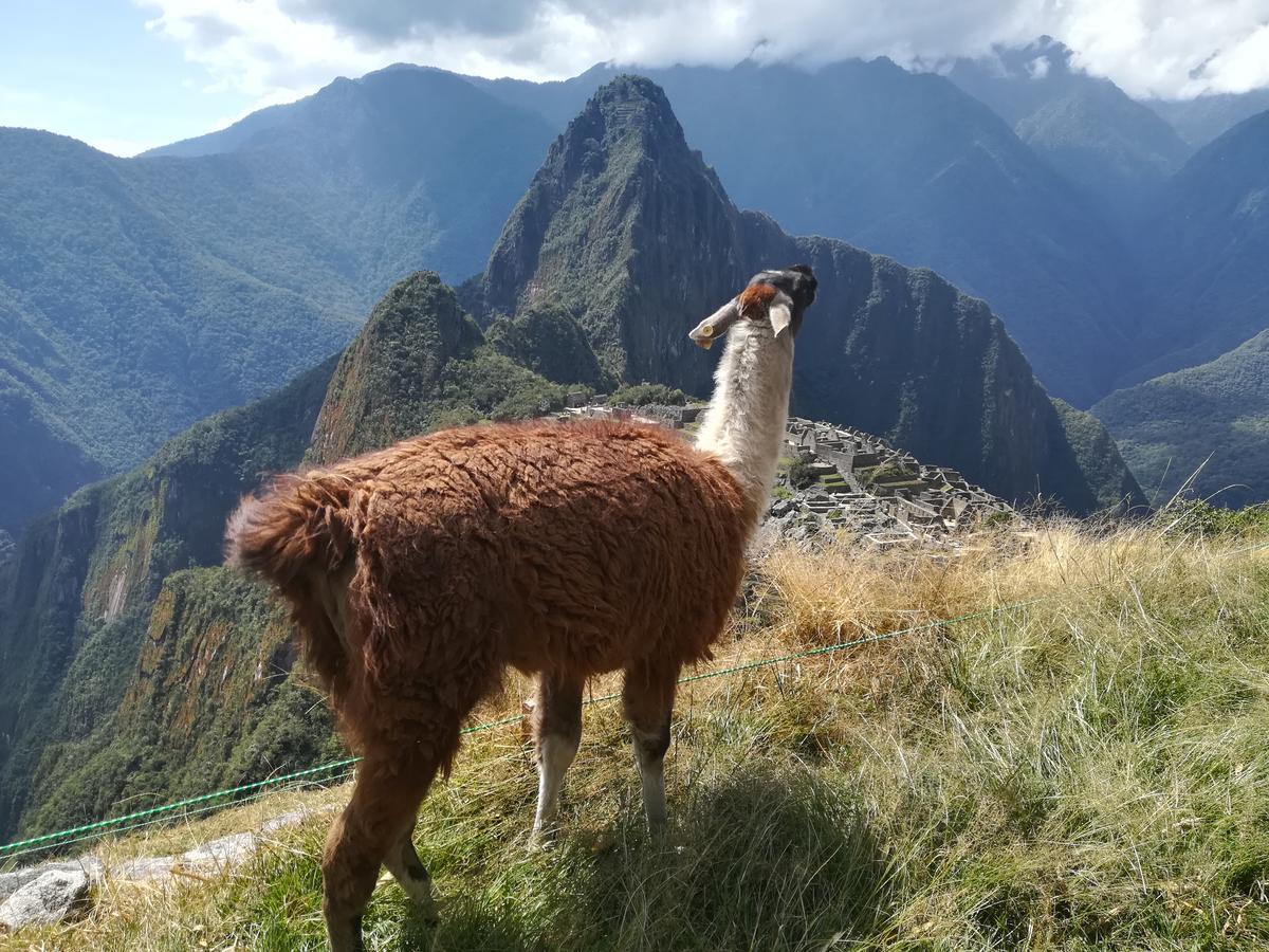 Golden Sunrise Machupicchu Hotell Exteriör bild